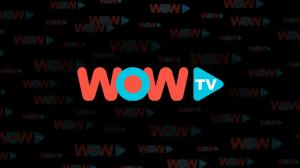 [Latest] All You Should Know About WOW TV Download PC