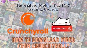 How to Download Video from Crunchyroll? (PC & Mobile Guide 2025)