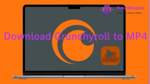 How to Download Crunchyroll to MP4: The Complete 2025 Guide