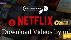 [6 種方法] 如何透過提取 URL 來儲存 Netflix 影片？