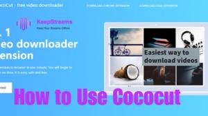 CocoCut Usage 2026: How to use Cococut to Download Videos?